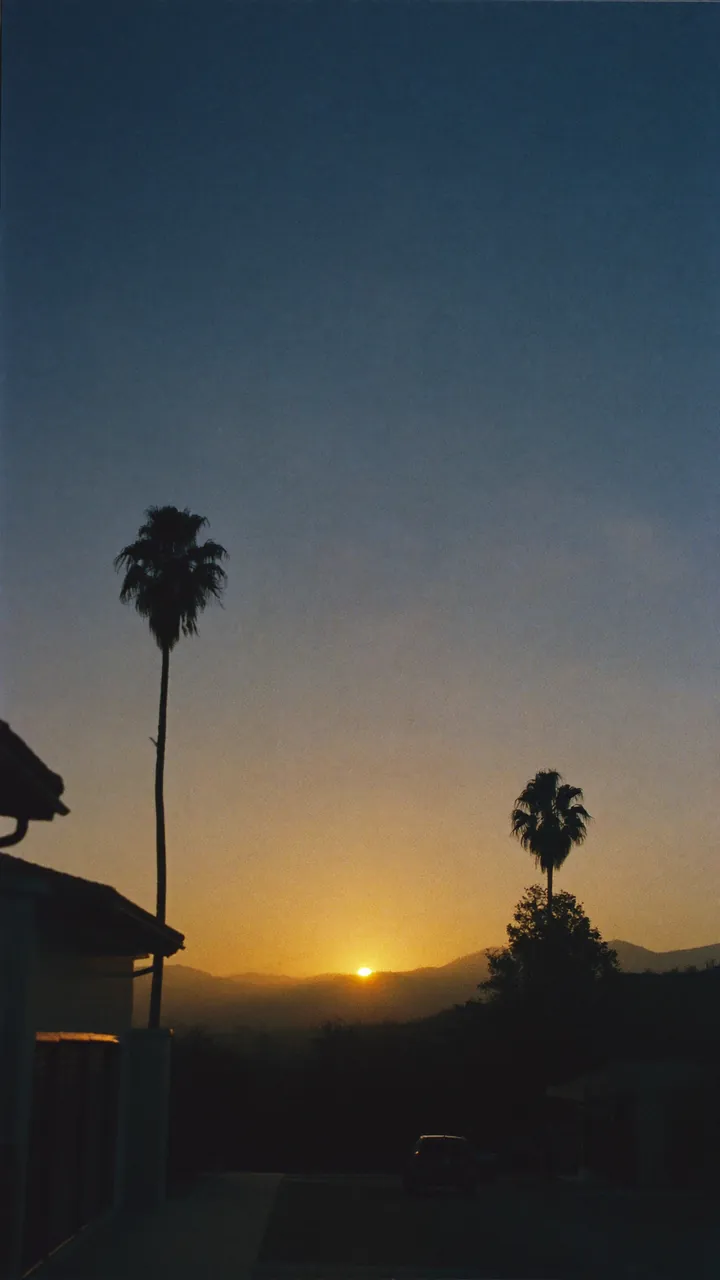 Sunrise over Santa Clarita hills from a driveway, two palm trees in silhouette.